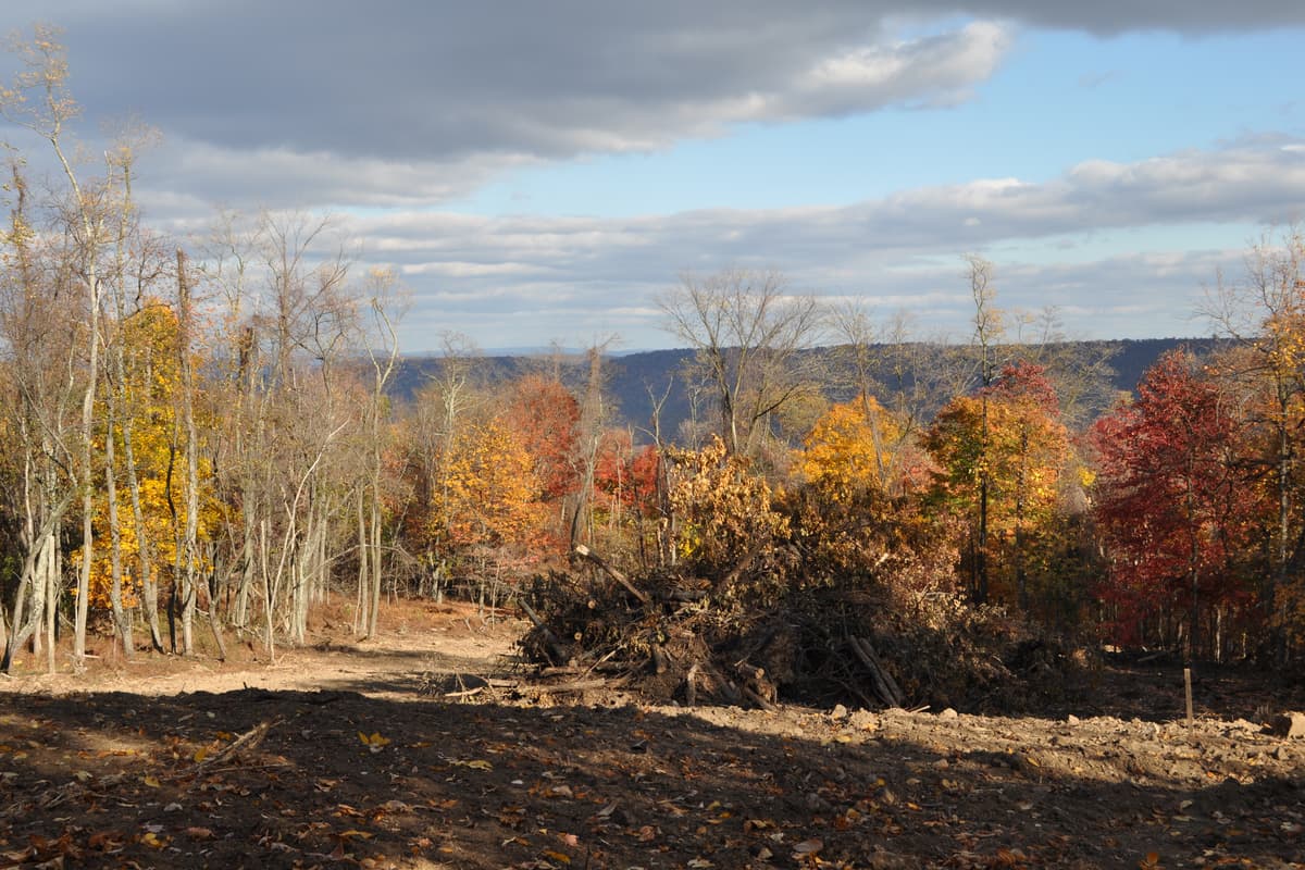 A cleared hillside in fall, orange and red trees along the far edge and the ridge beyond. Bare earth where the trees came out, nothing built yet.