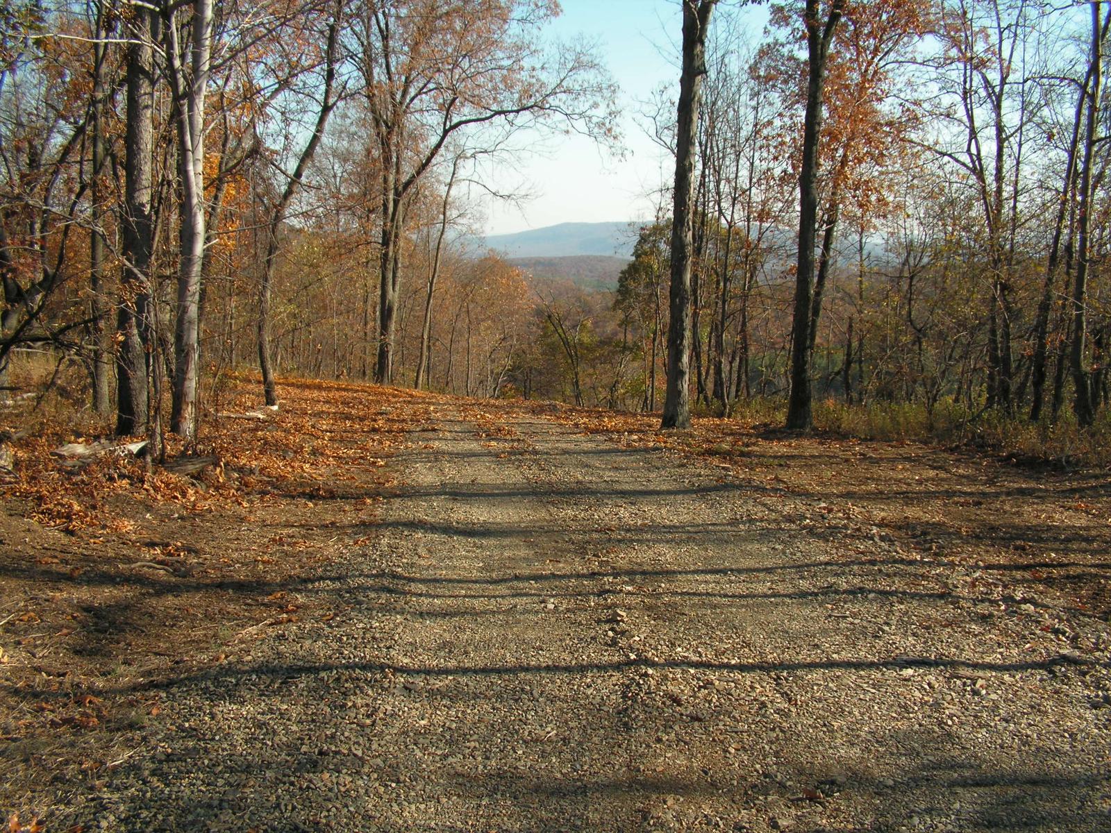 A gravel road running away downhill between bare trees, leaf litter along both verges and a blue mountain ridge in the distance