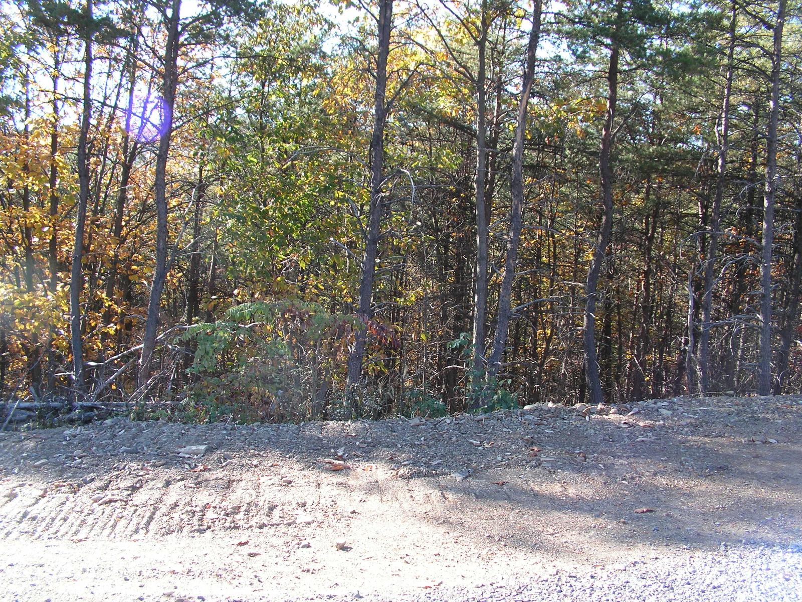 A bank of freshly graded stone below dense woods, the new road surface running across the foreground