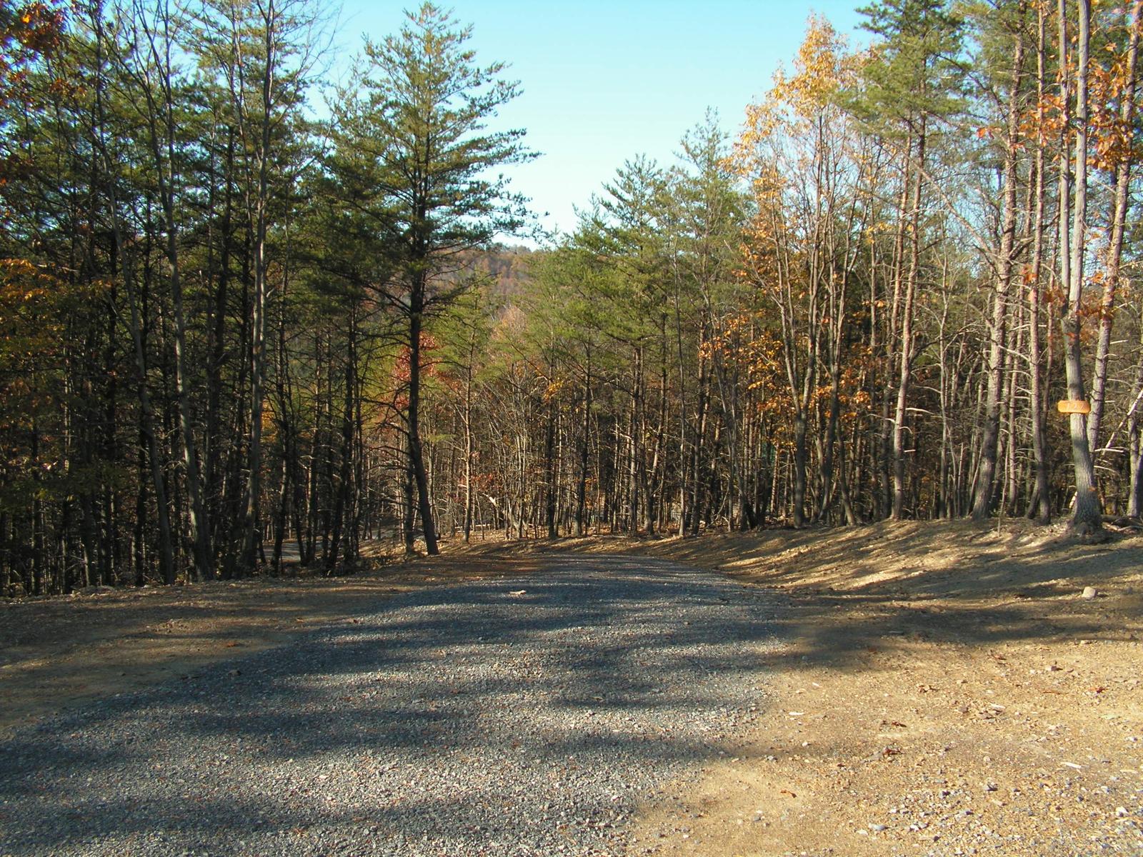 A wide gravel junction under evergreens, banks of fresh grade to both sides and a small marker tag on a trunk at the right