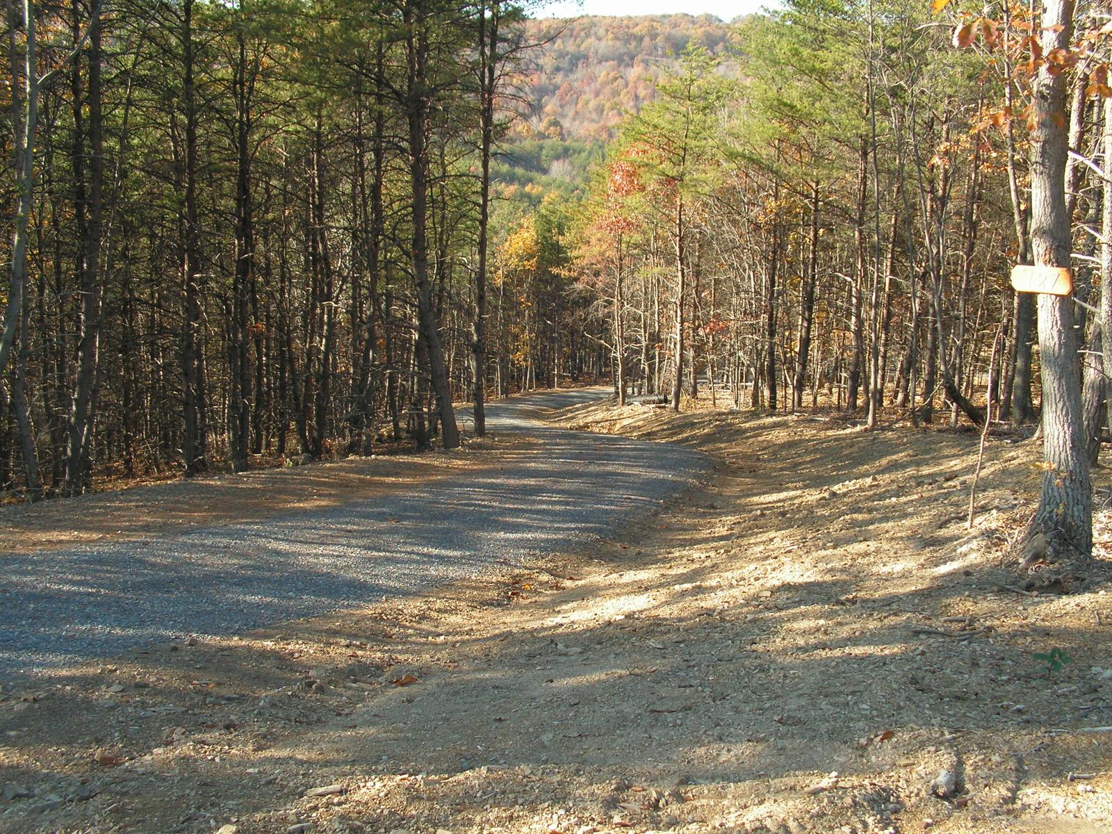 A gravel road curving down a slope between evergreens, an fall ridge rising behind the trees