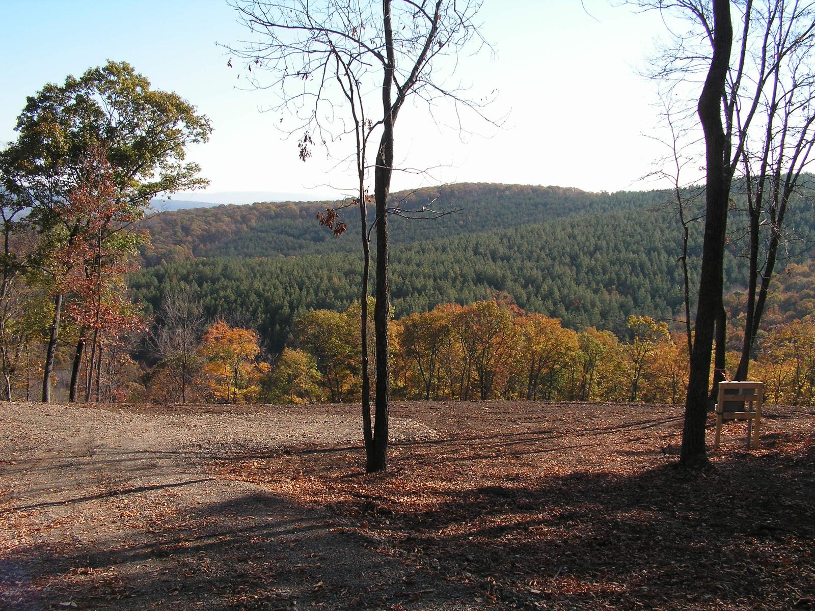 A building lot graded flat with two slender trees left standing, opening onto a wooded valley and a long forested ridge beyond