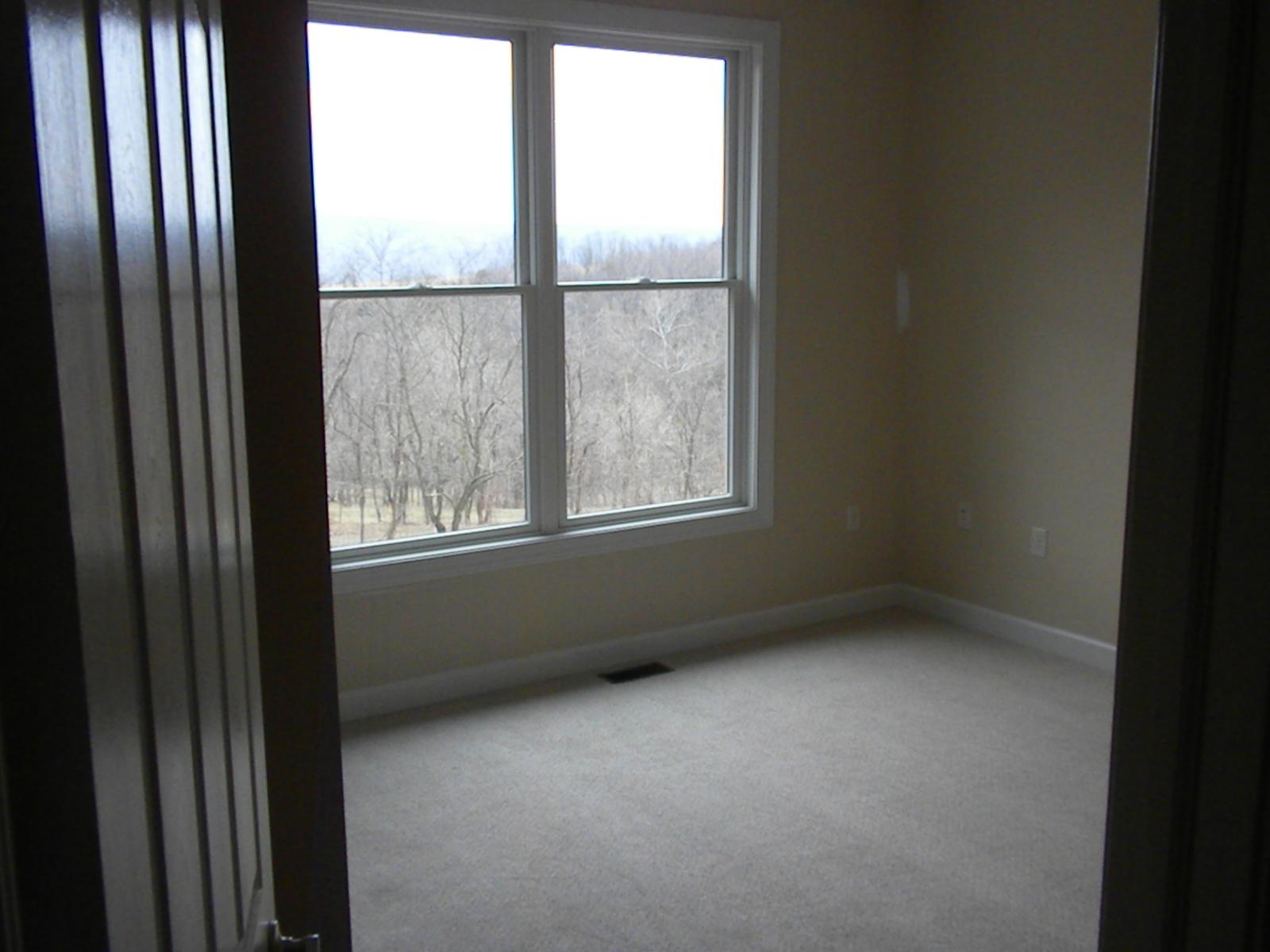 A carpeted room with two windows looking out to bare woods, door casings still unpainted