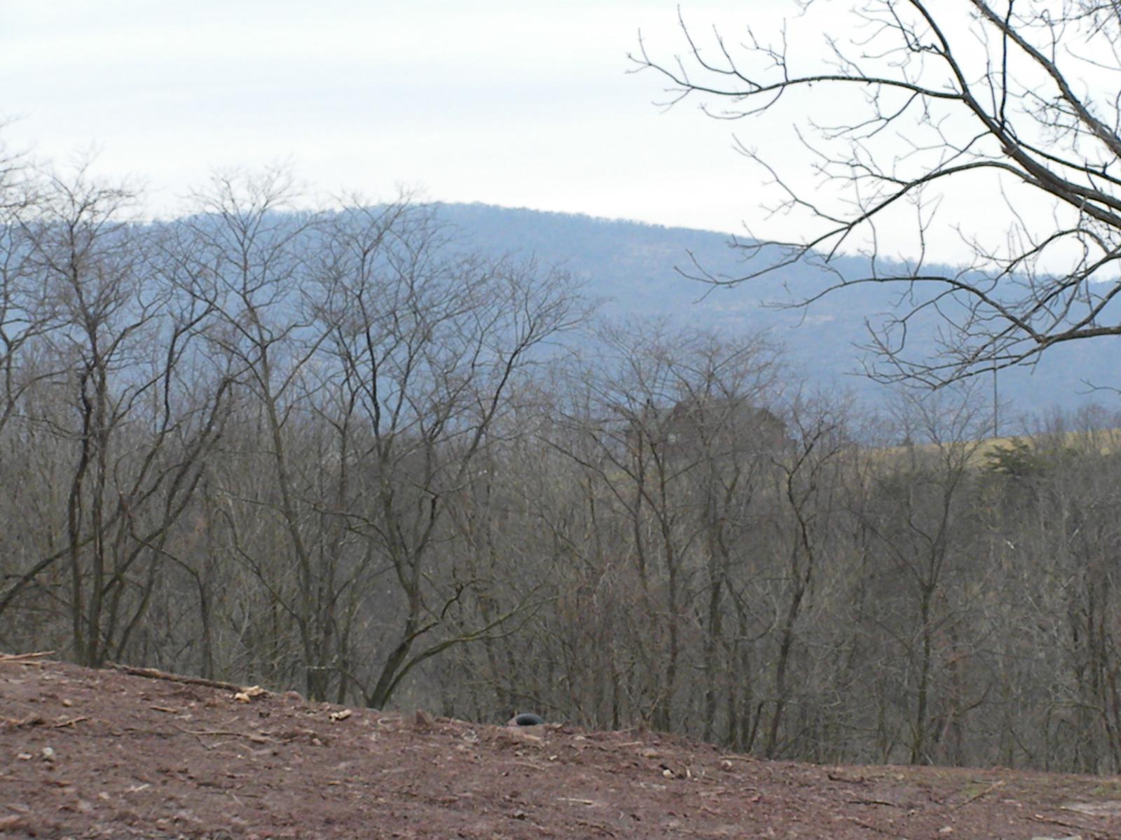 Bare hardwoods on a cut bank, blue ridges layered along the horizon beyond