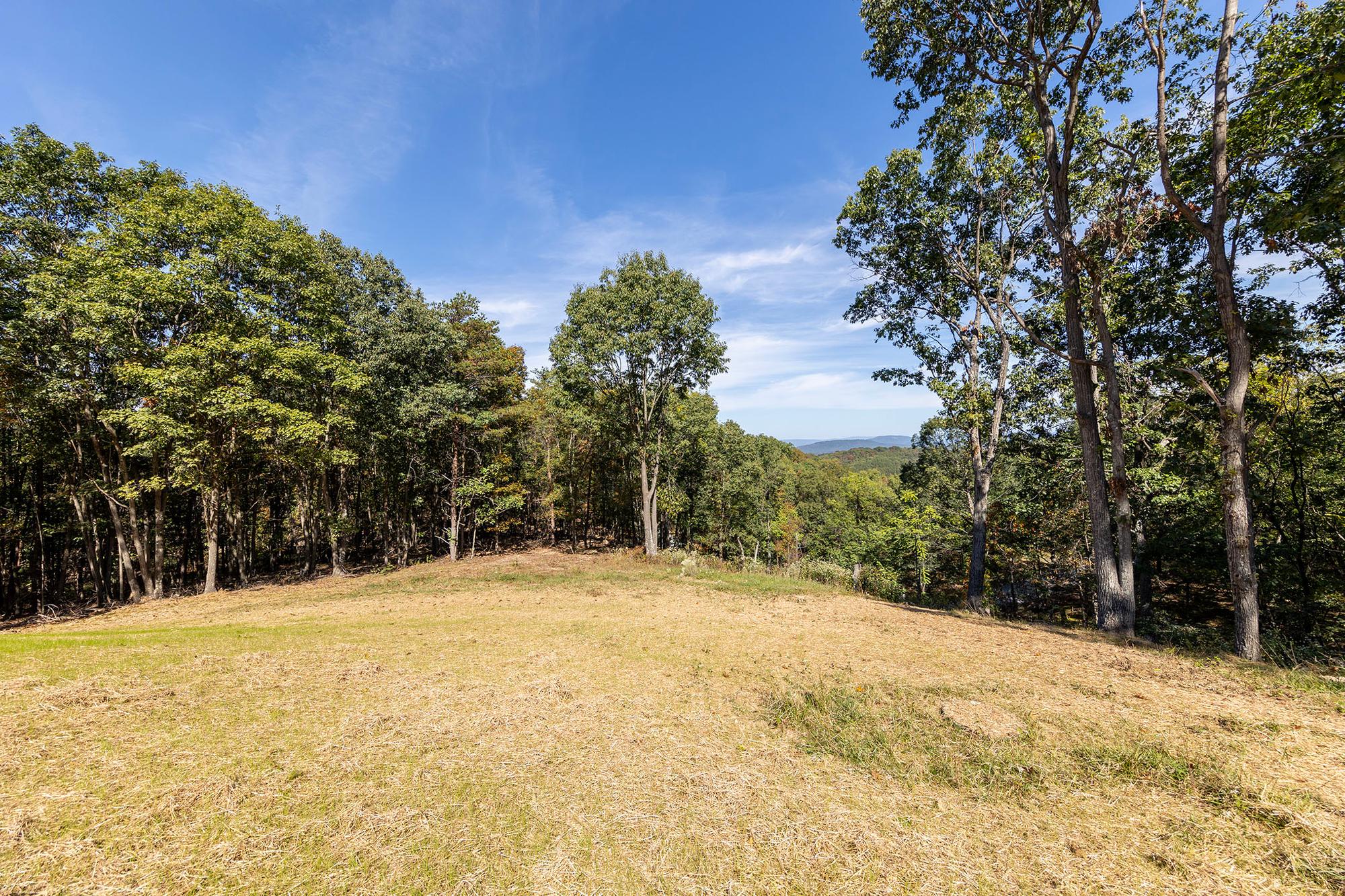 Mowed clearing at the wooded edge of the property with a glimpse of distant ridgeline through the trees