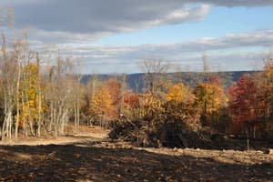 A cleared hillside in fall, orange and red trees along the far edge and the ridge beyond. Bare earth where the trees came out, nothing built yet.