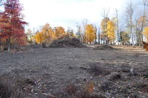 The cleared ground from the other end, a windrow of brush and stumps pushed to one side, hardwoods still in fall color behind.
