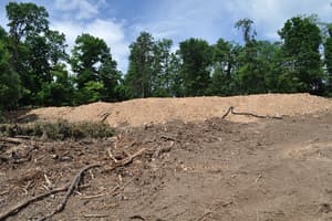 Cleared ground with a long mound of excavated soil across the site, cut brush and stumps piled in the foreground and woods behind.