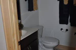 A small finished bathroom with a dark vanity and mirror, towel bars on painted walls, and tile flooring set with a round mosaic medallion.