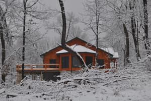 Snow on the roof and the deck, the logs glowing against a monochrome winter woods.