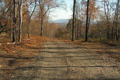 A gravel road running away downhill between bare trees, leaf litter along both verges and a blue mountain ridge in the distance