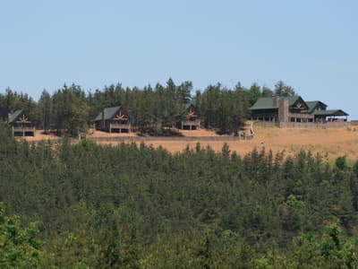 Four houses spaced along a cleared ridge, seen across a valley of young evergreens, each one set back against the treeline