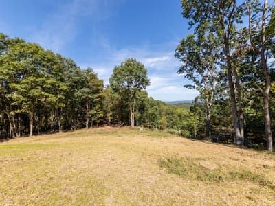 Mowed clearing at the wooded edge of the property with a glimpse of distant ridgeline through the trees