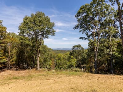View between tall hardwoods across a wooded valley to layered ridges on the horizon, rough-mowed field in the foreground