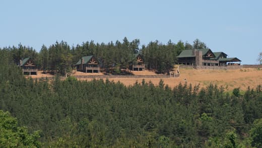 Four houses spaced along a cleared ridge, seen across a valley of young evergreens, each one set back against the treeline