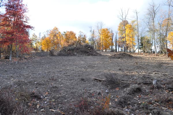 The cleared ground from the other end, a windrow of brush and stumps pushed to one side, hardwoods still in fall color behind.