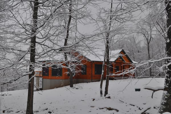 The house in snow, seen through the woods — warm stained log against white ground and gray trunks.