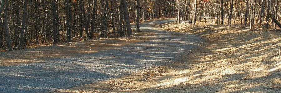A finished gravel drive in low sunlight, cut through a stand of hardwoods
