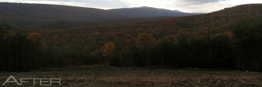 Cleared ground at dusk looking across a valley to a long ridge in fall color